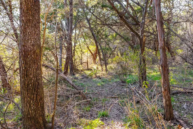 $1,500,000 | 13017 Bob Johnson Lane, Unit C, Manchaca, TX 78652