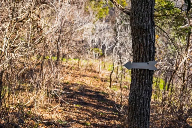 a view of swimming pool from a yard