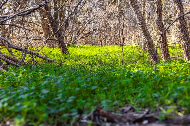 $1,500,000 | 13017 Bob Johnson Lane, Unit C, Manchaca, TX 78652