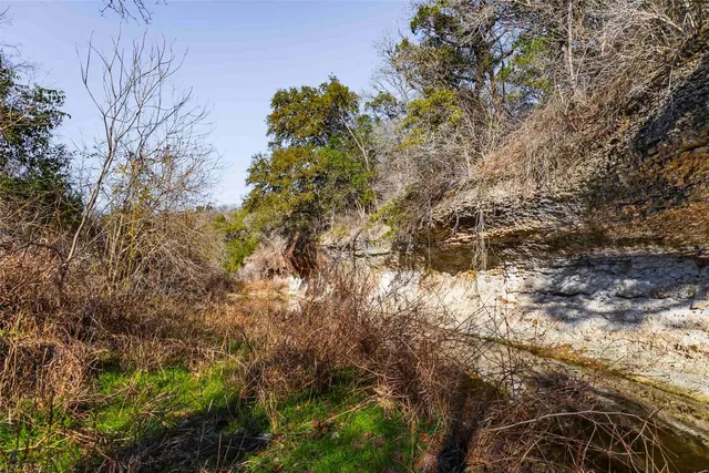 a view of a yard with large trees