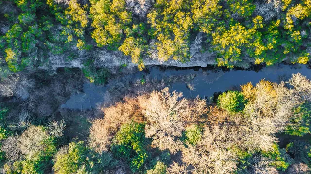 $1,500,000 | 13017 Bob Johnson Lane, Unit C, Manchaca, TX 78652