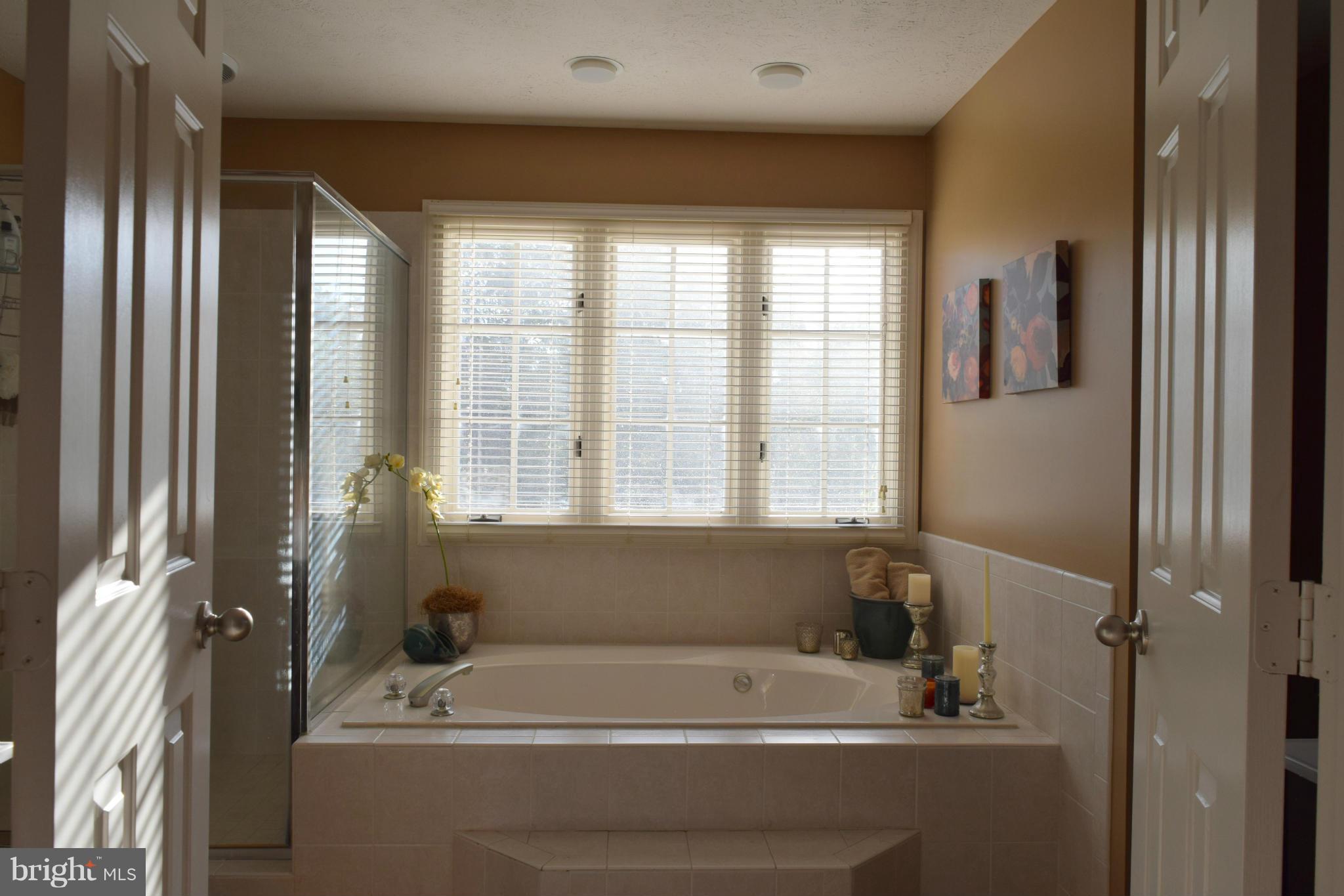 307 Huntersridge Road Winchester, VA 22602 - Photo 18 of 30 Master Bath