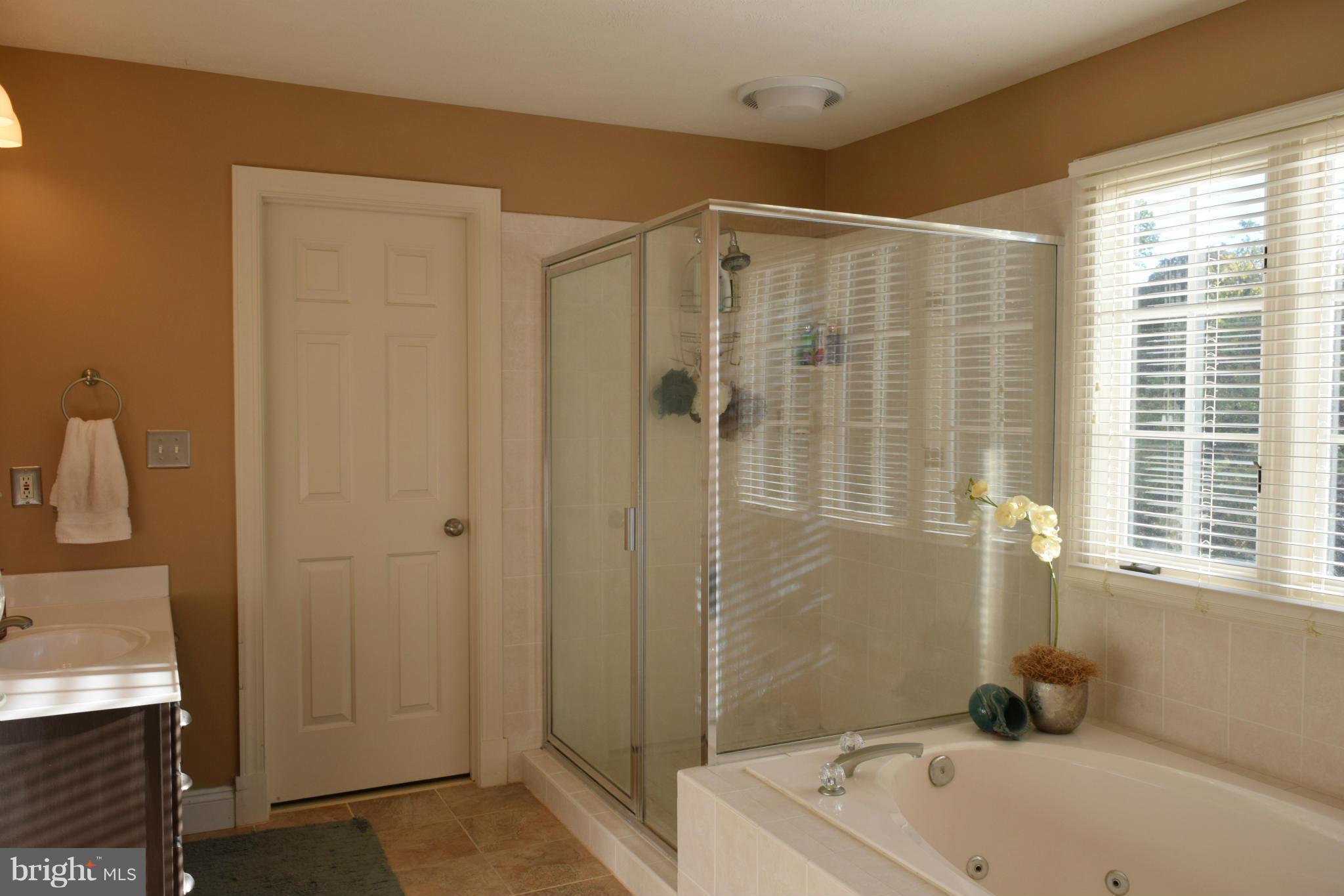 307 Huntersridge Road Winchester, VA 22602 - Photo 19 of 30 Bath (Master)