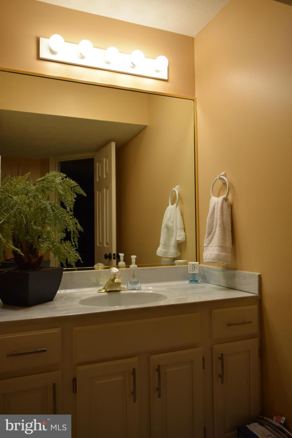 307 Huntersridge Road Winchester, VA 22602 - Photo 26 of 30 Bath