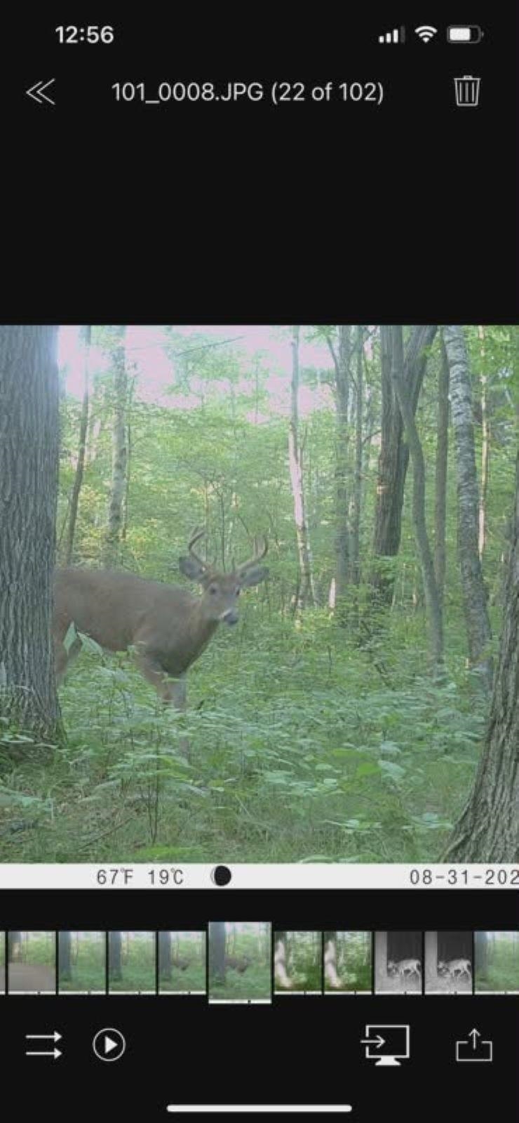 39.94-acres County Rd V Pittsville, WI 54466 - Photo 11 of 17