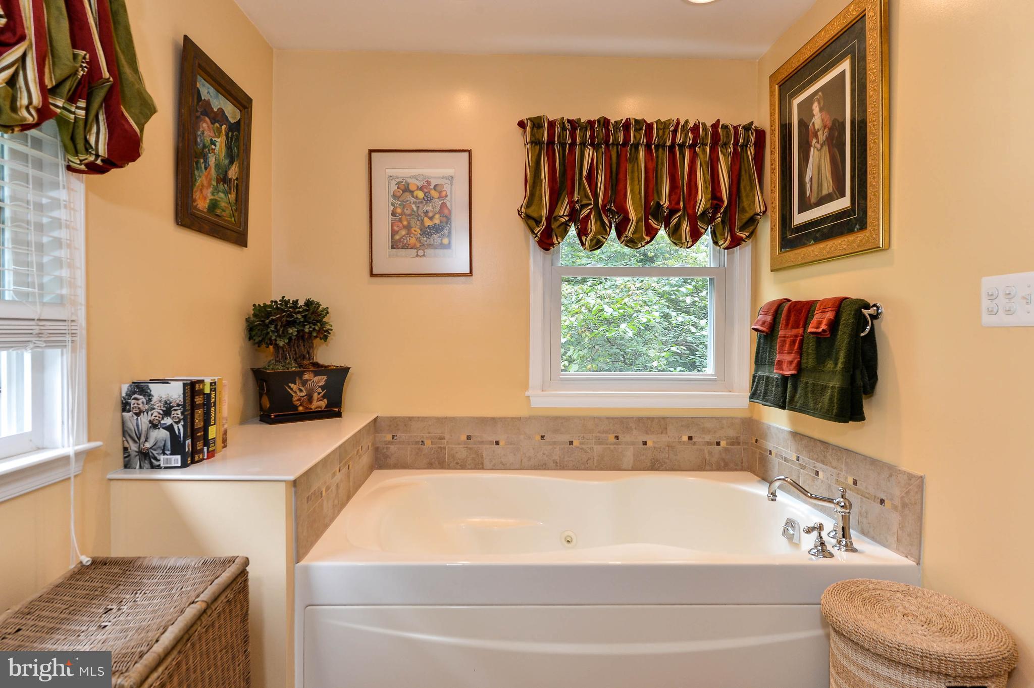 104 Tower Point Road Chesapeake City, MD 21915 - Photo 16 of 30 Soak & relax in jetted bath
