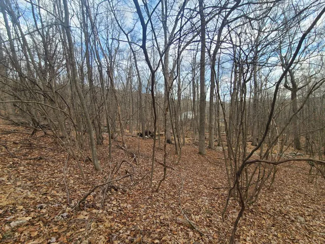 a view of covered with trees