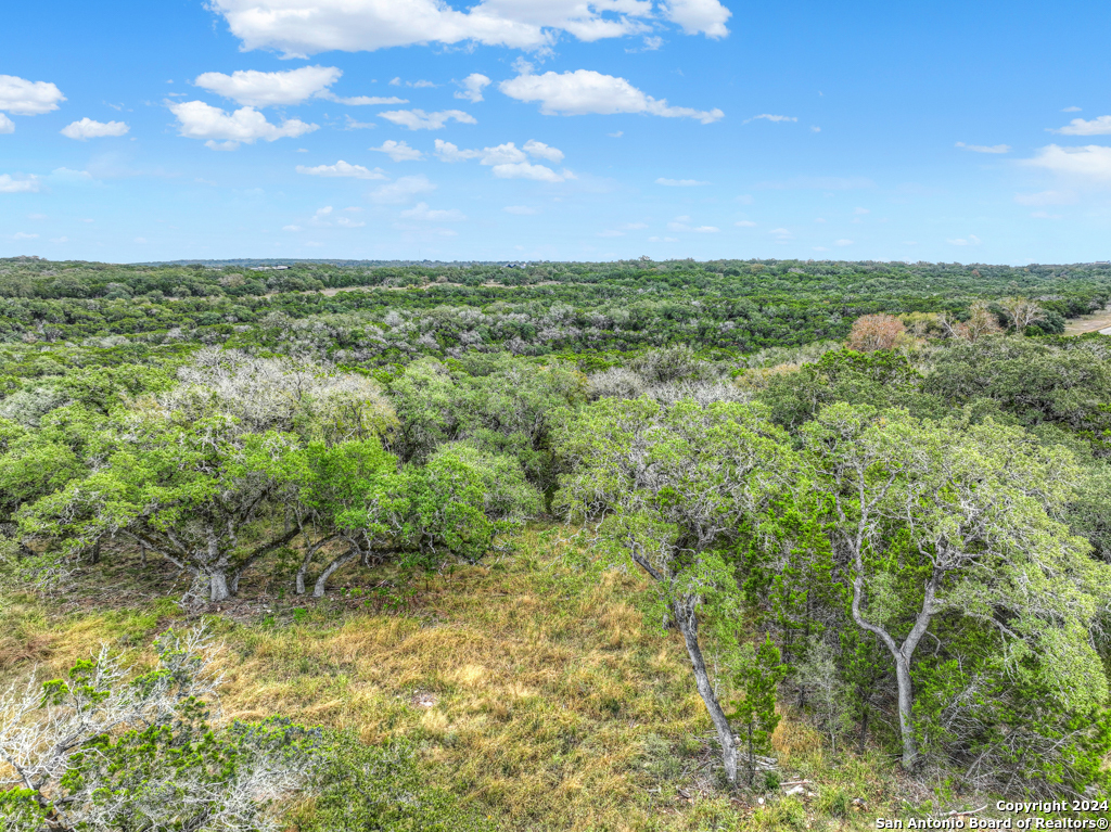 1416 Powder Ridge New Braunfels, TX 78132 - Photo 2 of 33 a view of a yard with an tree