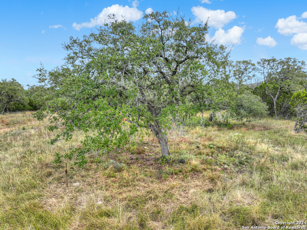 1416 Powder Ridge New Braunfels, TX 78132 - Photo 3 of 33 a view of a bunch of trees and bushes