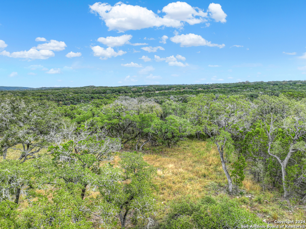 1416 Powder Ridge New Braunfels, TX 78132 - Photo 4 of 33