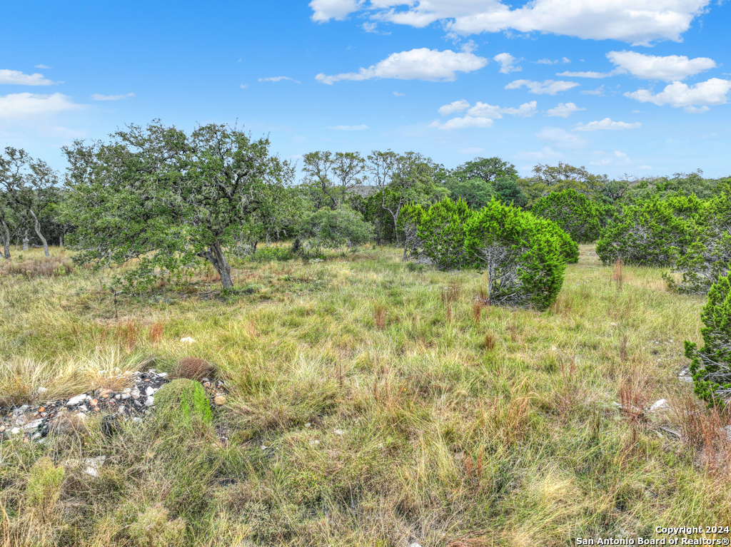 1416 Powder Ridge New Braunfels, TX 78132 - Photo 5 of 33 a view of a lake with houses in the back