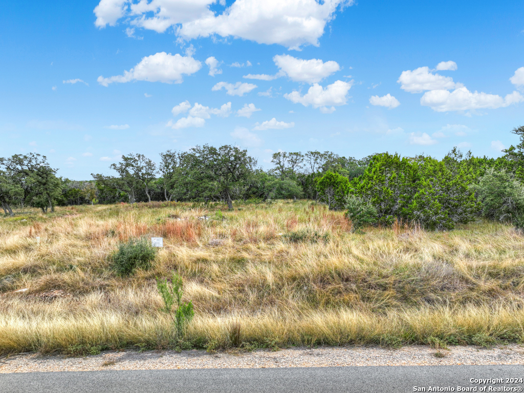 1416 Powder Ridge New Braunfels, TX 78132 - Photo 10 of 33 a view of a lake