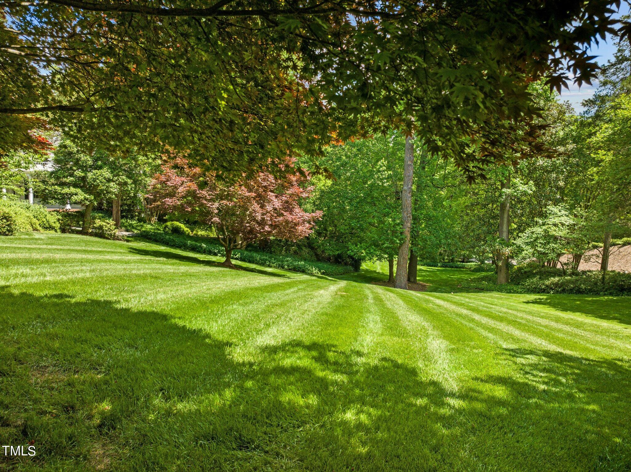 3116 Cornwall Road Durham, NC 27707 - Photo 68 of 85 a view of a big yard with large trees