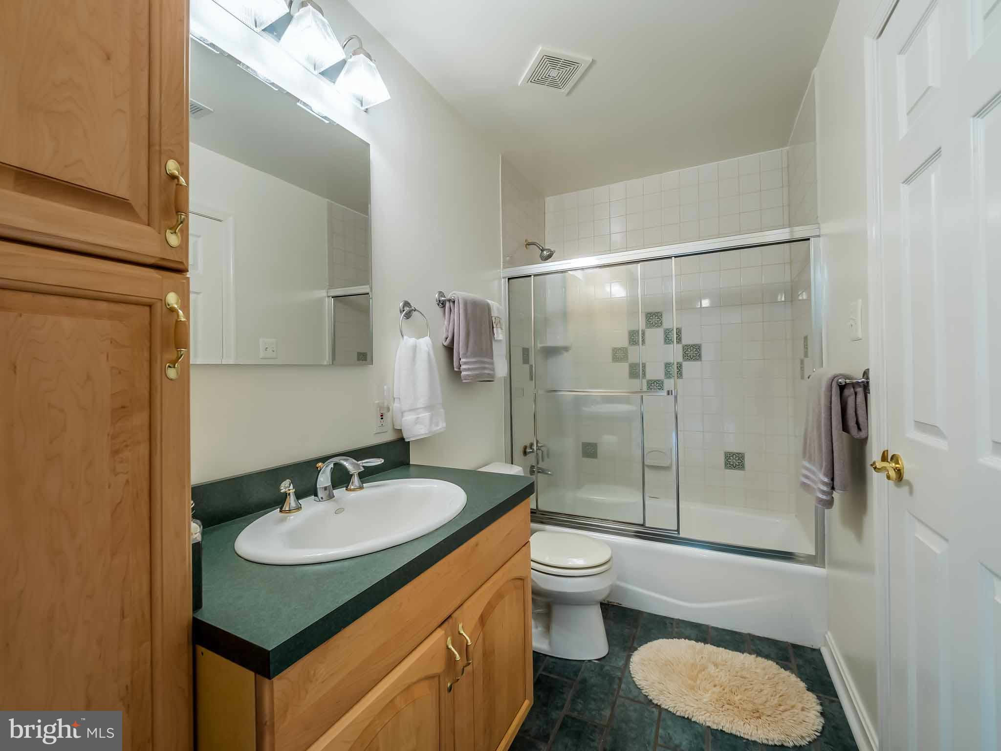 13110 Soundings Road Lusby, MD 20657 - Photo 19 of 30 a bathroom with a sink toilet and shower