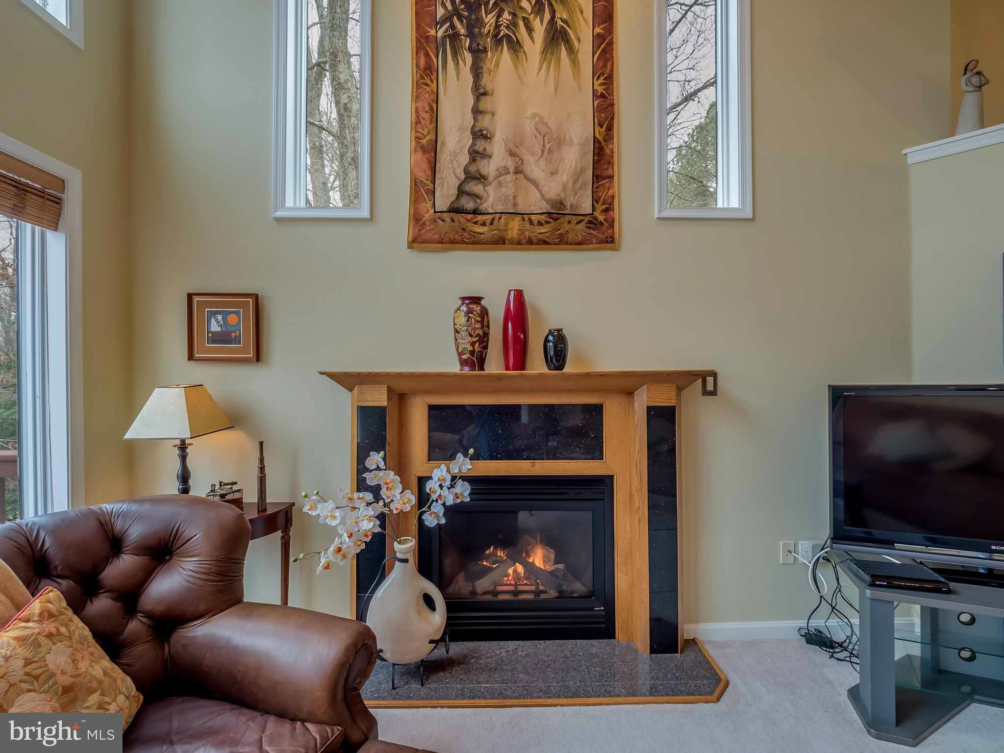 13110 Soundings Road Lusby, MD 20657 - Photo 9 of 30 a living room with furniture and a fireplace