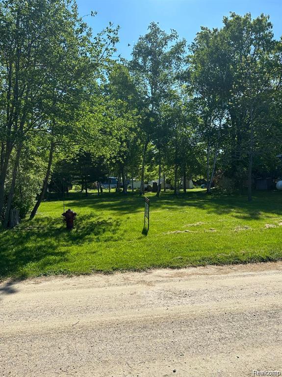 7365 Lighthouse Road Port Hope, MI 48468 - Photo 11 of 24