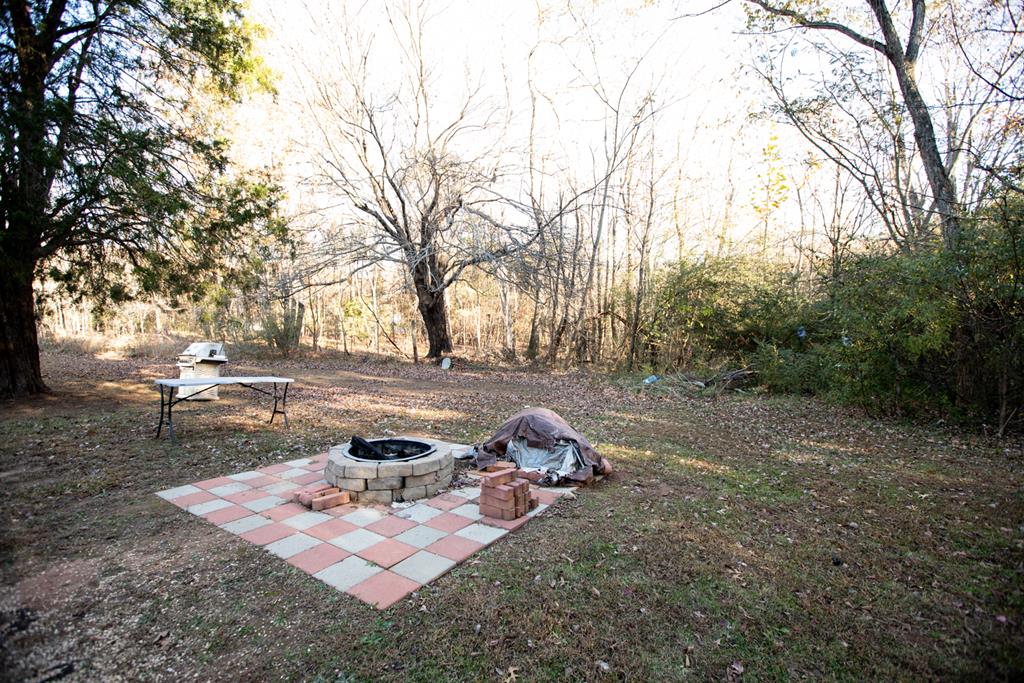 571 Five Forks Road Pamplin, VA 23958 - Photo 81 of 89 Gallery Image 81