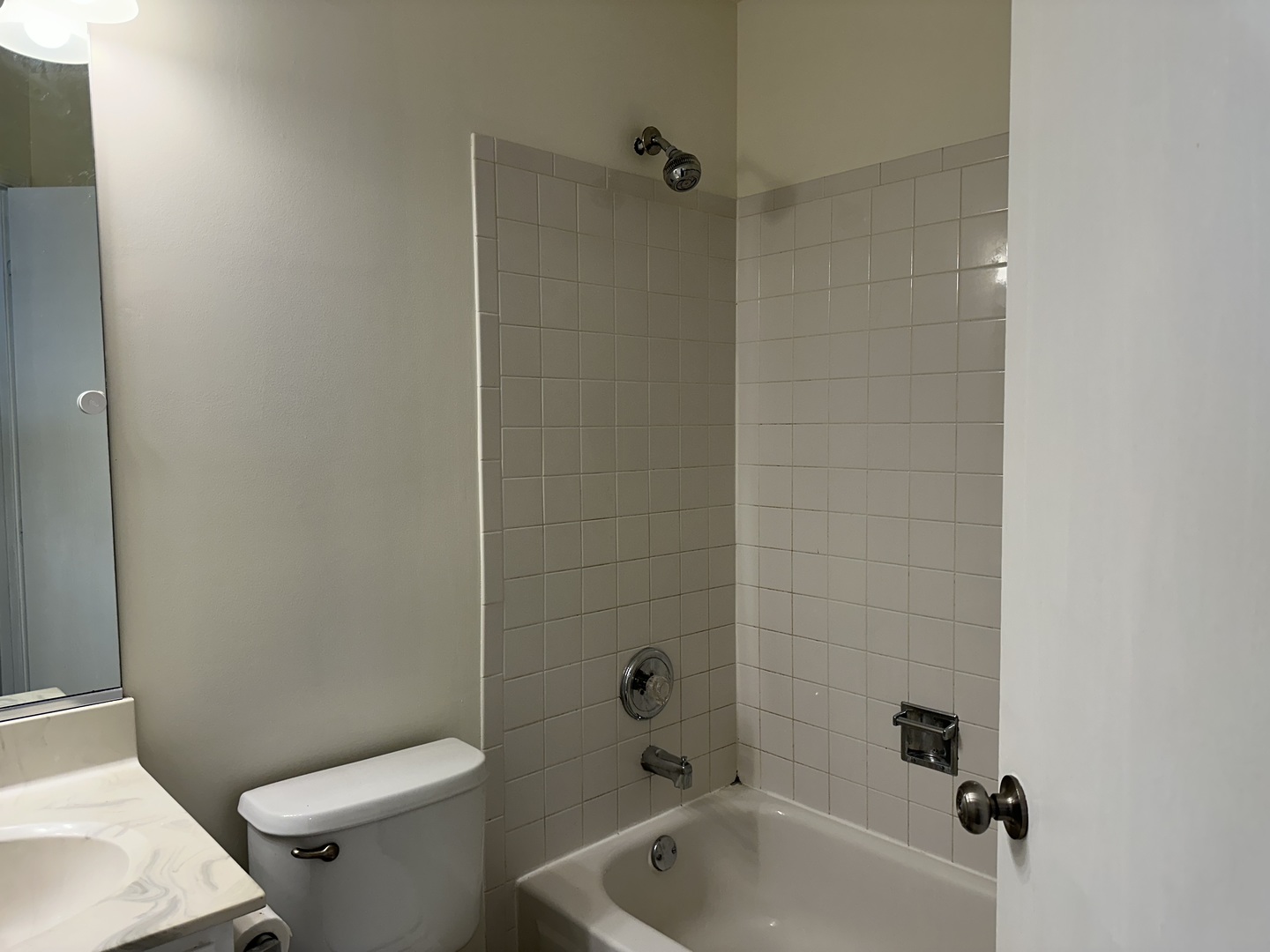 1361 Orleans Drive Mundelein, IL 60060 - Photo 13 of 13 a white bath tub sitting next to a toilet