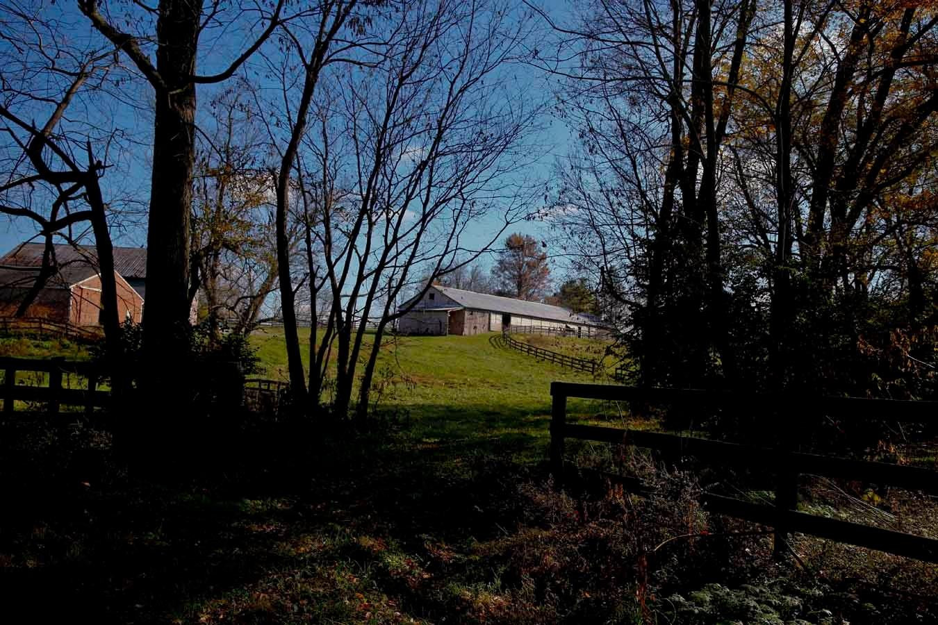3263 North Cleveland Road Lexington, KY 40516 - Photo 36 of 93 Photo 36