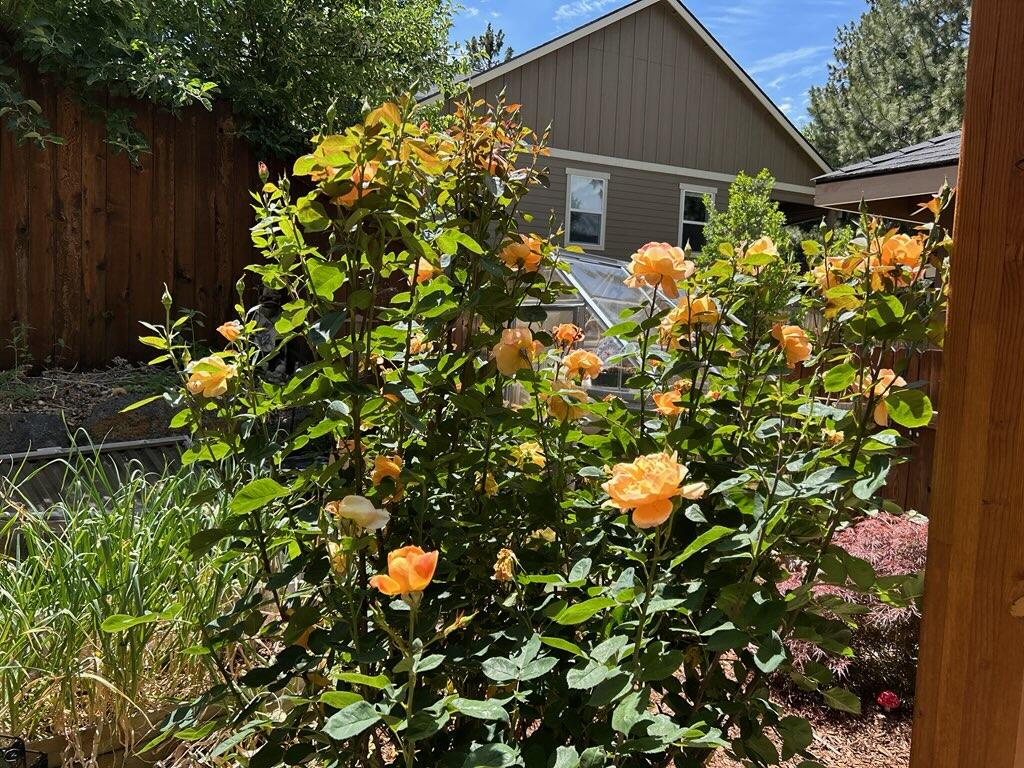62944 Fresca Street Bend, OR 97703 - Photo 26 of 32
