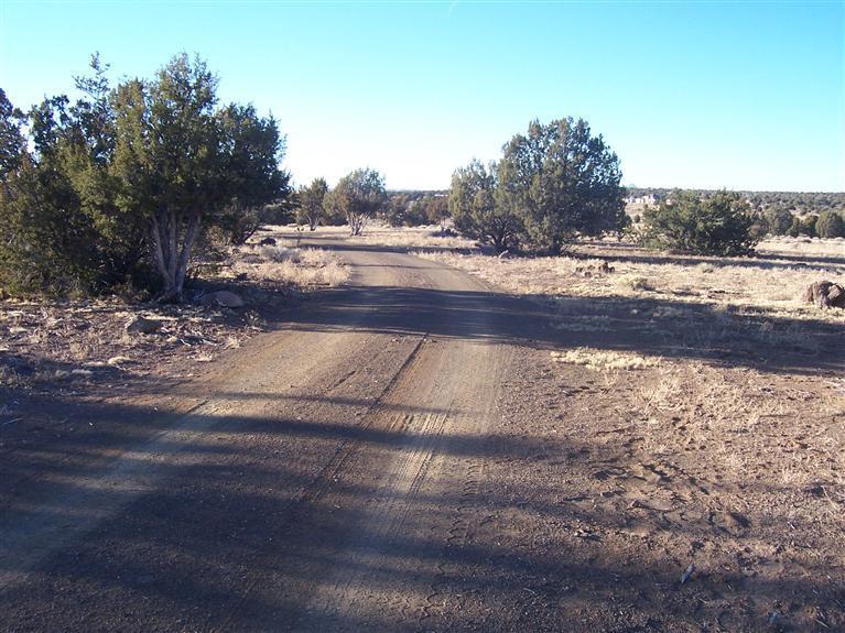 42755 Bullock Road Ash Fork, AZ 86320 - Photo 3 of 30 Additional Photo