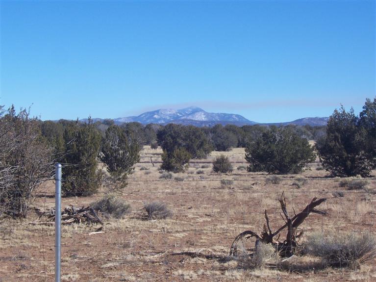 42755 Bullock Road Ash Fork, AZ 86320 - Photo 5 of 30 Additional Photo