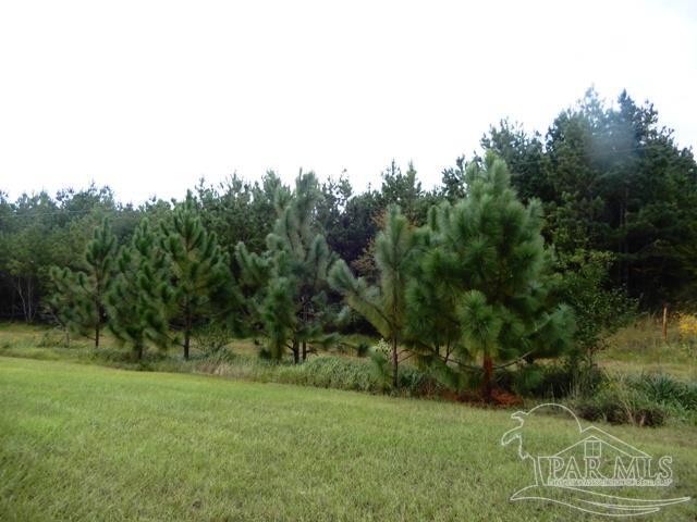 21 Atmore Al Atmore, AL 36502 - Photo 14 of 31