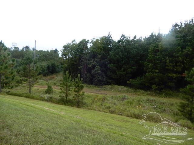 21 Atmore Al Atmore, AL 36502 - Photo 16 of 31