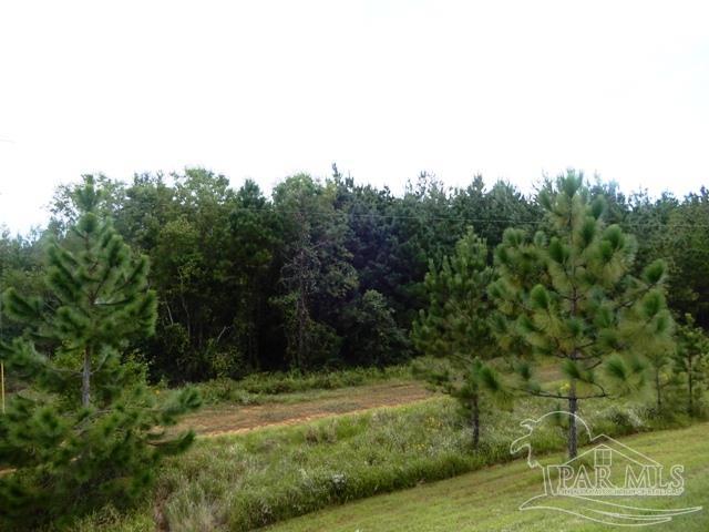 21 Atmore Al Atmore, AL 36502 - Photo 18 of 31