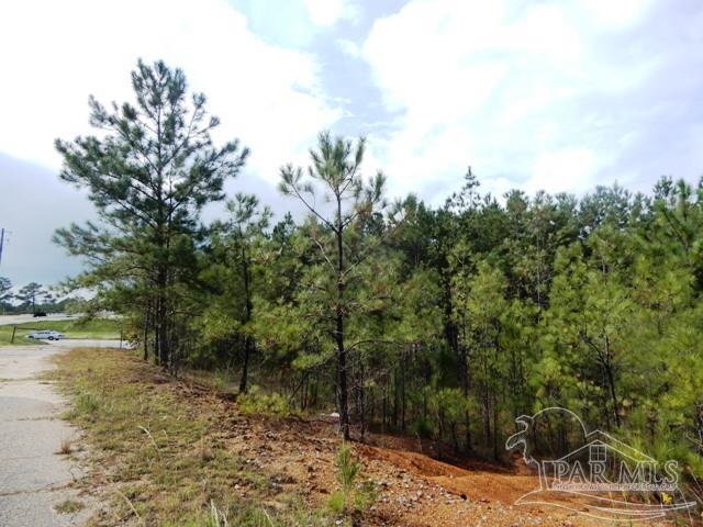 21 Atmore Al Atmore, AL 36502 - Photo 5 of 31