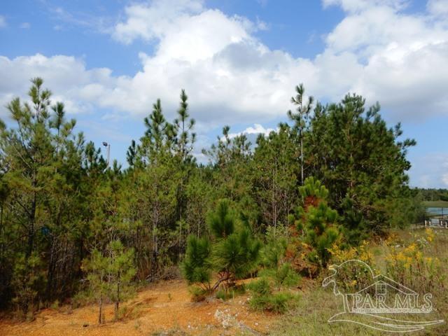 21 Atmore Al Atmore, AL 36502 - Photo 6 of 31