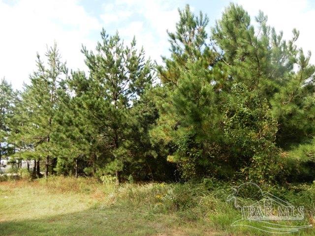 21 Atmore Al Atmore, AL 36502 - Photo 8 of 31