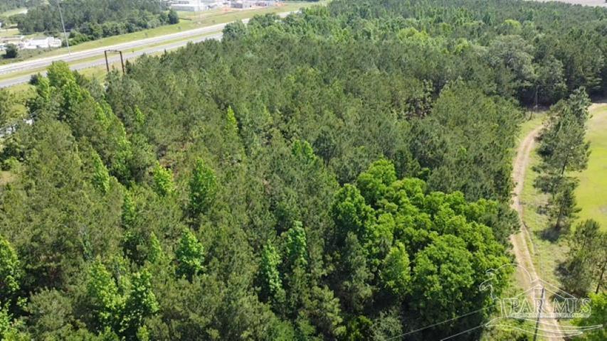 21 Atmore Al Atmore, AL 36502 - Photo 9 of 31