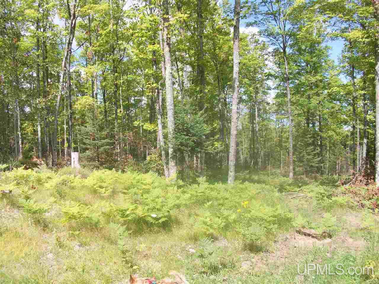 Tbd Off Co Rd 577 Carney, MI 49812 - Photo 6 of 7