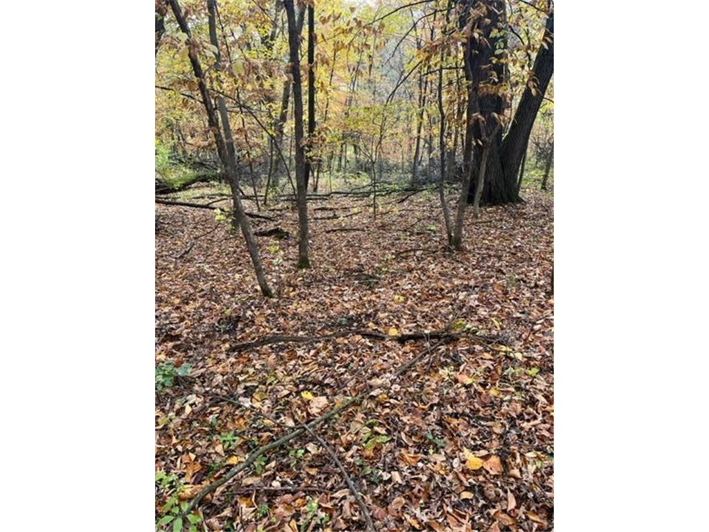 Lot 5 Tiger Street Northwest Zimmerman, MN 55398 - Photo 14 of 31