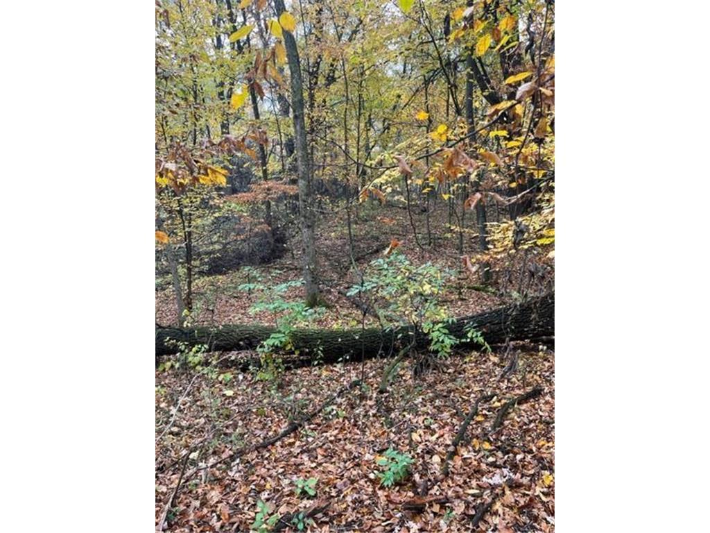 Lot 5 Tiger Street Northwest Zimmerman, MN 55398 - Photo 16 of 31