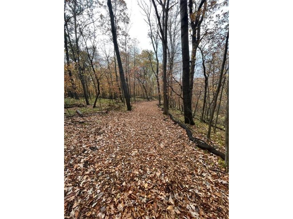 Lot 5 Tiger Street Northwest Zimmerman, MN 55398 - Photo 19 of 31