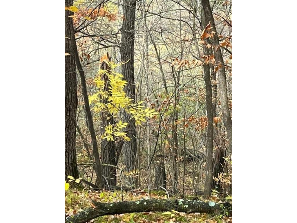 Lot 5 Tiger Street Northwest Zimmerman, MN 55398 - Photo 22 of 31