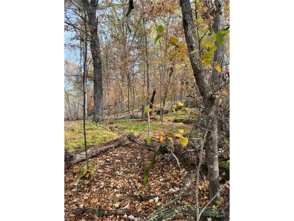 Lot 5 Tiger Street Northwest Zimmerman, MN 55398 - Photo 25 of 31