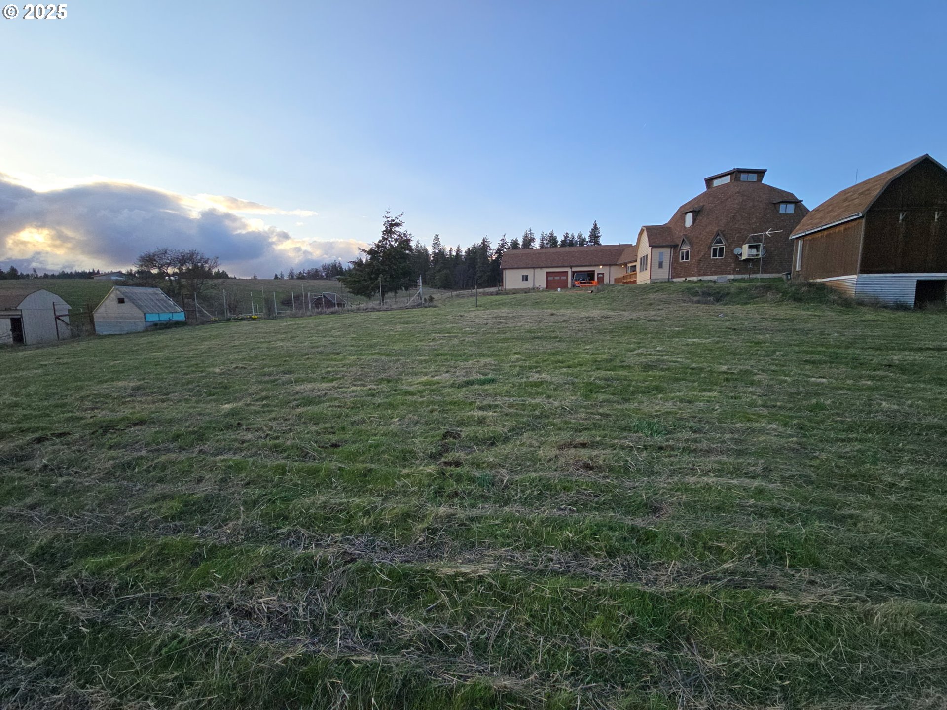 401 Johnson Road Lyle, WA 98635 - Photo 48 of 48 a view of a field with an trees in the background
