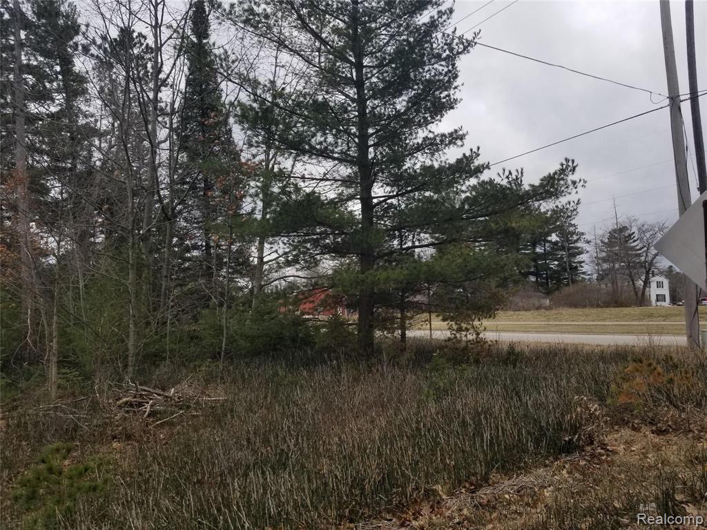 3571 Club Road Indian River, MI 49749 - Photo 14 of 18 Gallery Image 14