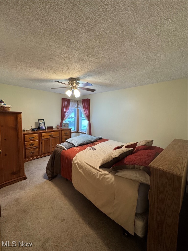 2644 Harpster Road Rittman, OH 44270 - Photo 10 of 20 Carpeted bedroom with a textured ceiling and a ceiling fan