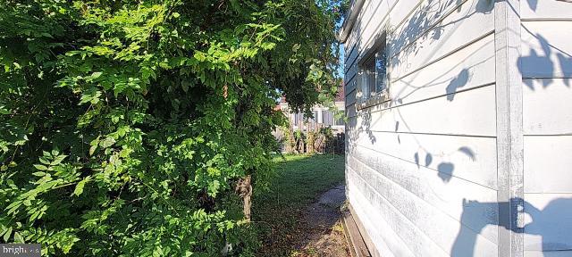 217 South Woodwell Road Dundalk, MD 21222 - Photo 18 of 49 a view of a yard with a tree