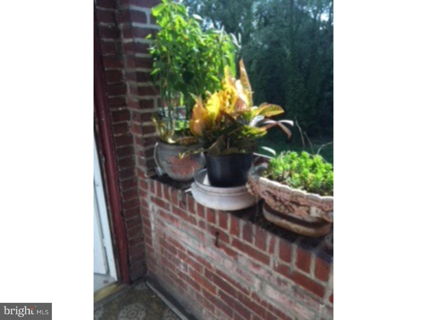 6138 Wayne Avenue, Unit 2 Philadelphia, PA 19144 - Photo 11 of 11 a view of a backyard