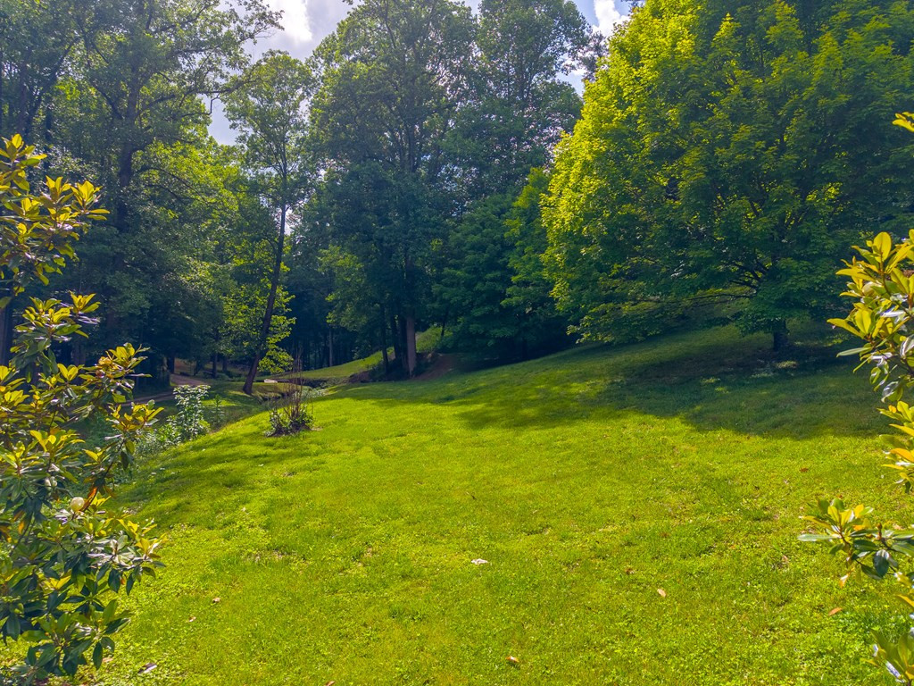 224 Cochrans Cr Road Robbinsville, NC 28771 - Photo 40 of 42