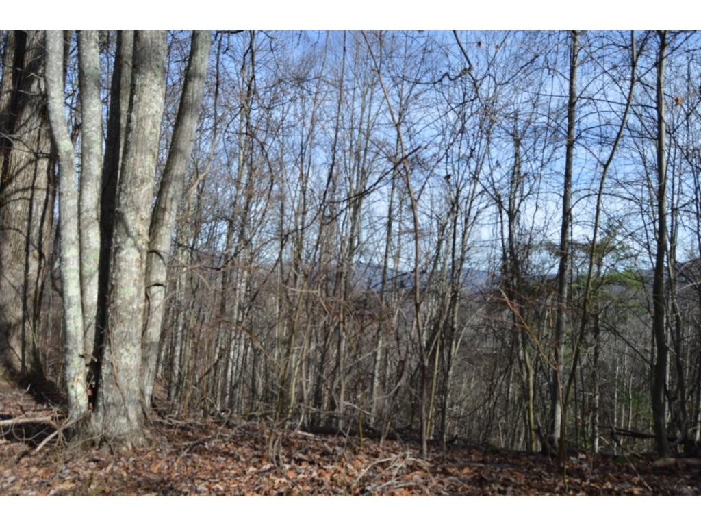 Tbd Clarktown Road Unicoi, TN 37692 - Photo 1 of 21 Photo 1