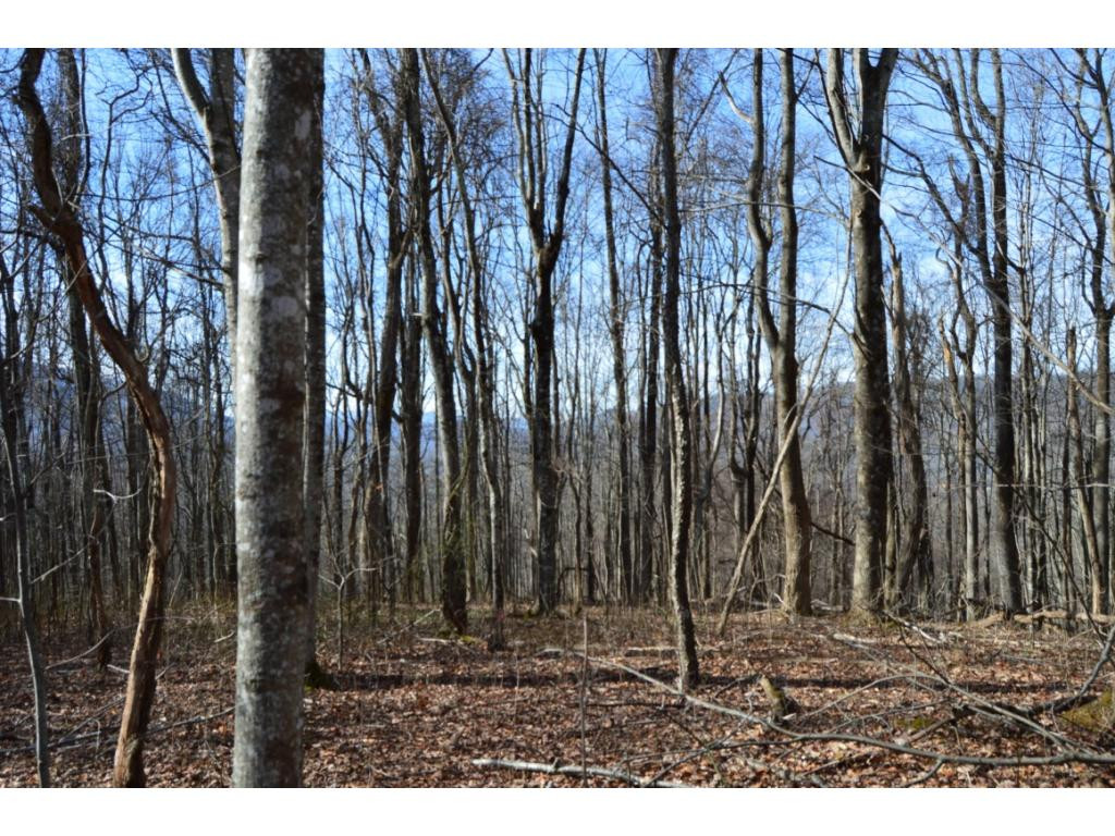 Tbd Clarktown Road Unicoi, TN 37692 - Photo 11 of 21 Photo 11