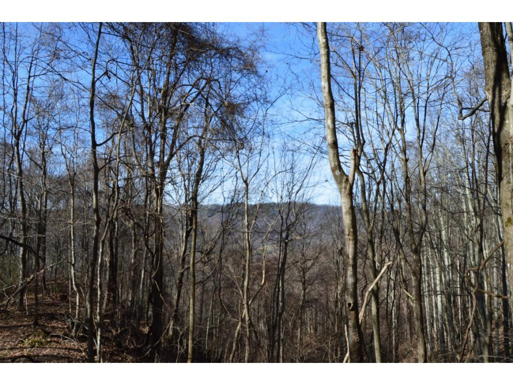 Tbd Clarktown Road Unicoi, TN 37692 - Photo 14 of 21 Photo 14