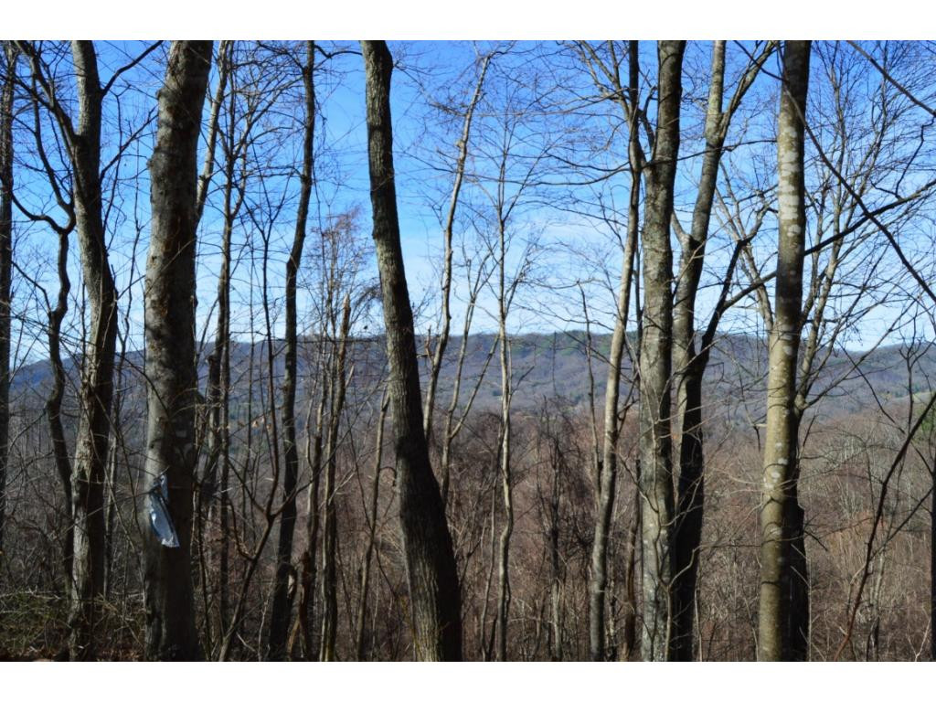 Tbd Clarktown Road Unicoi, TN 37692 - Photo 18 of 21 Photo 18