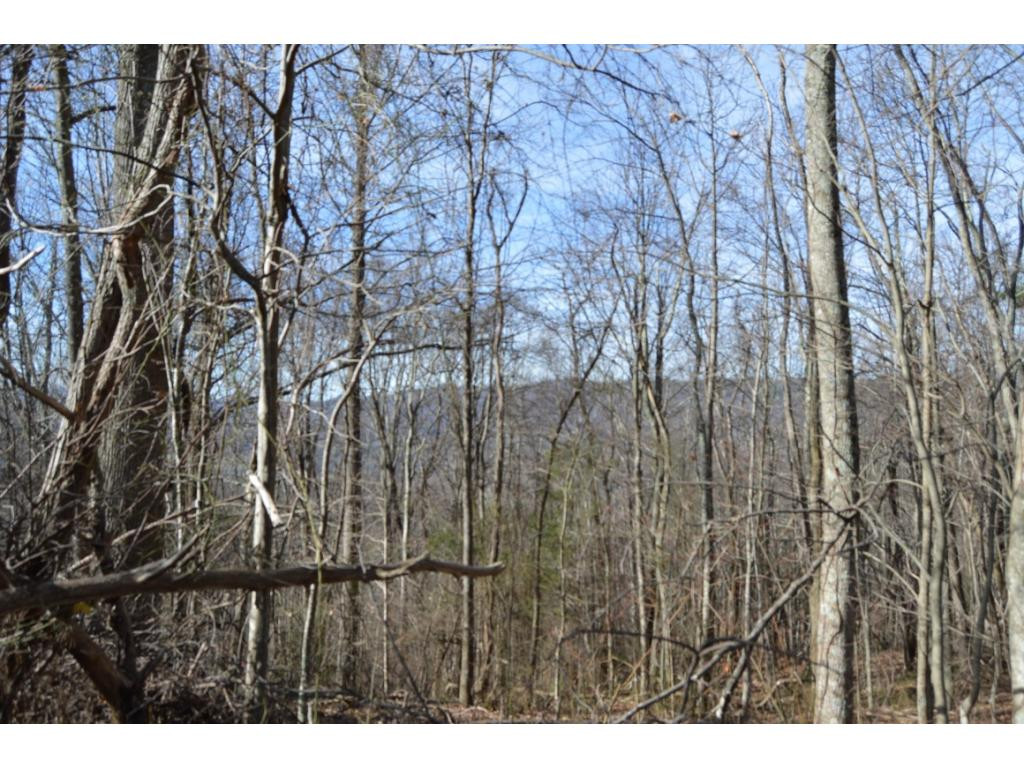 Tbd Clarktown Road Unicoi, TN 37692 - Photo 2 of 21 Photo 2